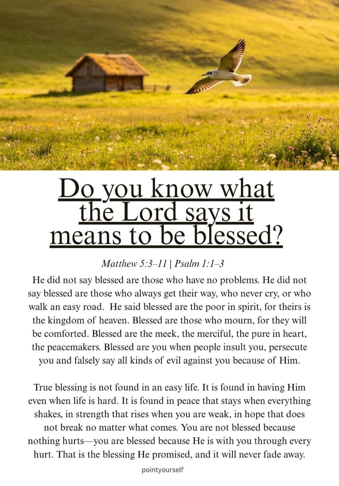 Do you know what the Lord says it means to be blessed? Matthew 5:3-11 | Psalm 1:1-3 He did not say blessed are those who have no problems. He did not say blessed are those who always get their way, who never cry, or who walk an easy road. He said blessed are the poor in spirit, for theirs is the kingdom of heaven. Blessed are those who mourn, for t