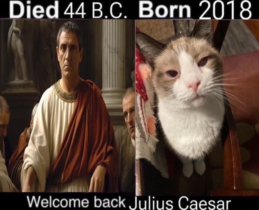 Ded 44 BC Born 2018 Ay Welcome back Julius Caesar
