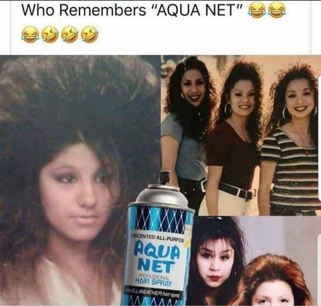 Who Remembers AQUA NET 2 LYYy