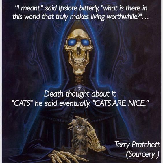 I meant said Ipslo I Irly what is thir in living worthwhile Death thought about 14 CATS he said eventually CATSARE NICE Terry Pratchett