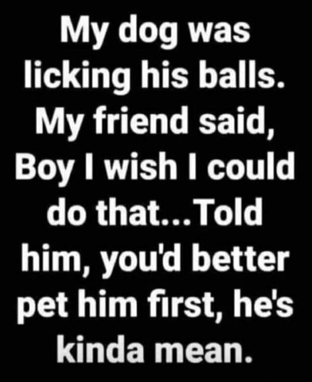My dog was licking his balls. My friend said, Boy I wish I could do that... Told him, you'd better pet him first, he's kinda mean.