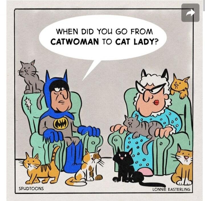 WHEN DID YOU GO FROM CATWOMAN TO CAT LADY?