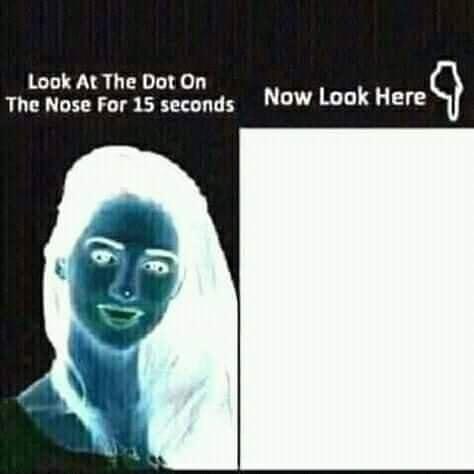 Look At The Dot On The Nose For 15 seconds NOW Look HEEQ