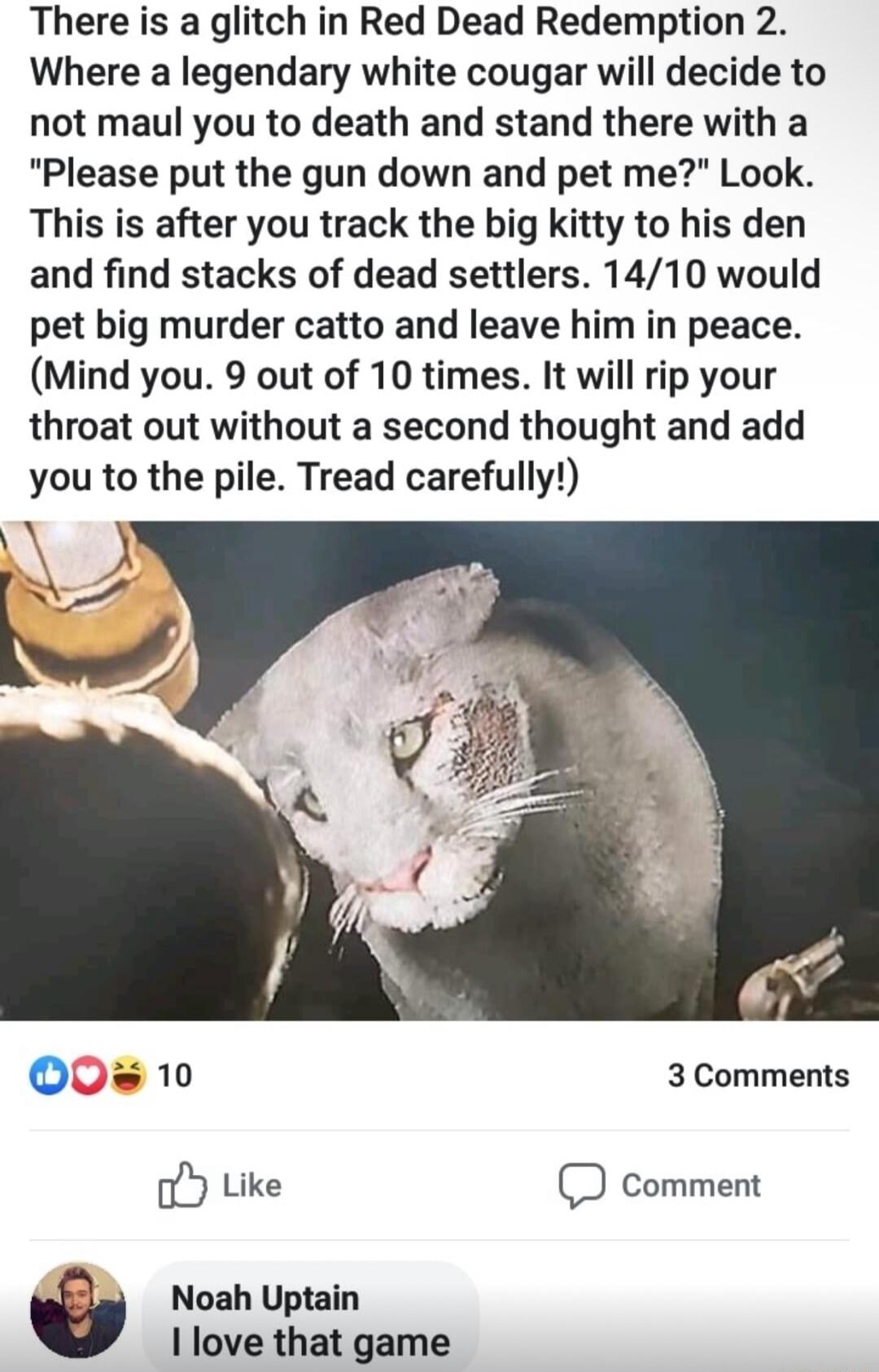 There is a glitch in Red Dead Redemption 2 Where a legendary white cougar will decide to not maul you to death and stand there with a Please put the gun down and pet me Look This is after you track the big kitty to his den and find stacks of dead settlers 1410 would pet big murder catto and leave him in peace Mind you 9 out of 10 times It will rip your throat out without a second thought and add y