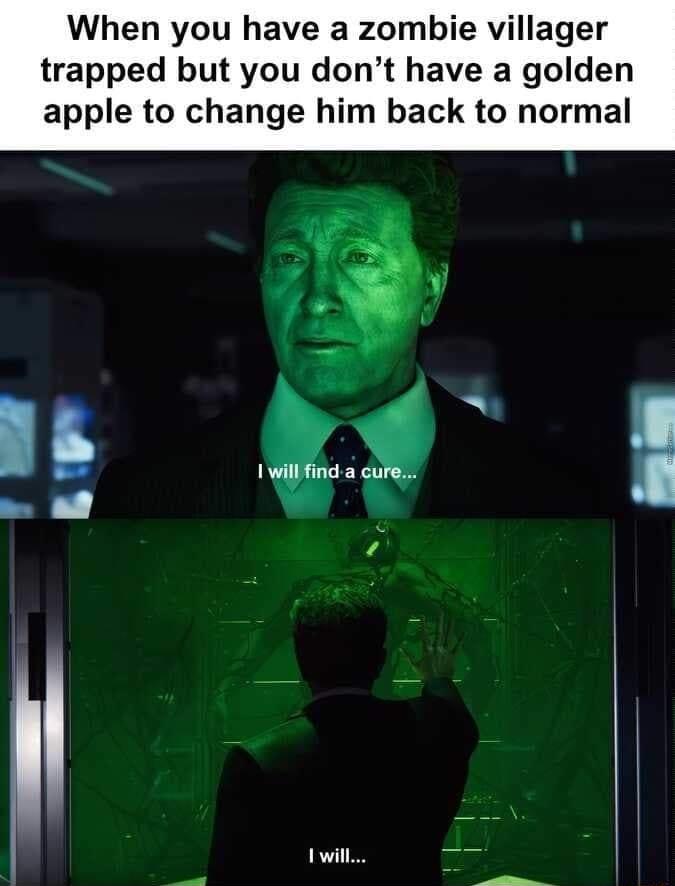 When you have a zombie villager trapped but you dont have a golden apple to change him back to normal