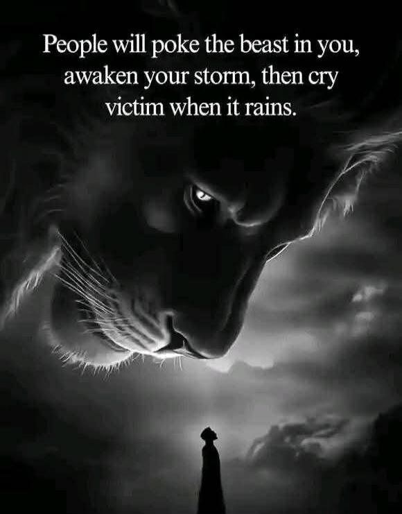 People will poke the beast in you, awaken your storm, then cry victim when it rains.