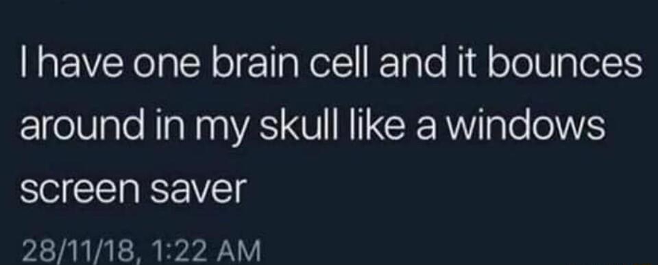 have one brain cell and it bounces around in my skull like a windows screen saver 281118 122 AM