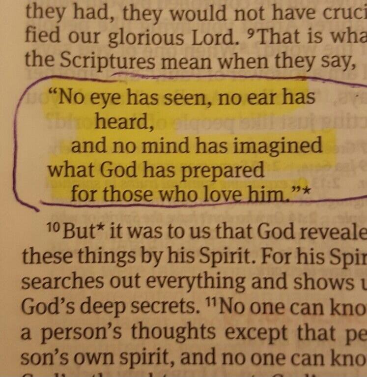 No eye has seen, no ear has heard, and no mind has imagined what God has prepared for those who love him.