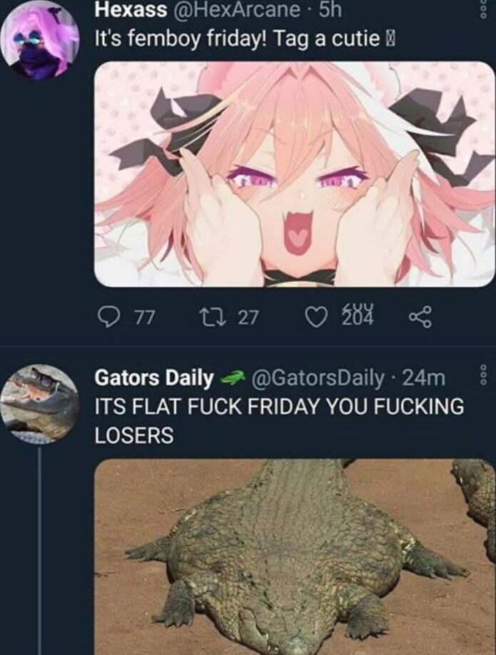 Hexass HexArcane 5h Its femboy friday Tag a cutie il g Gators Daily GatorsDaily 24m ITS FLAT FUCK FRIDAY YOU FUCKING LOSERS