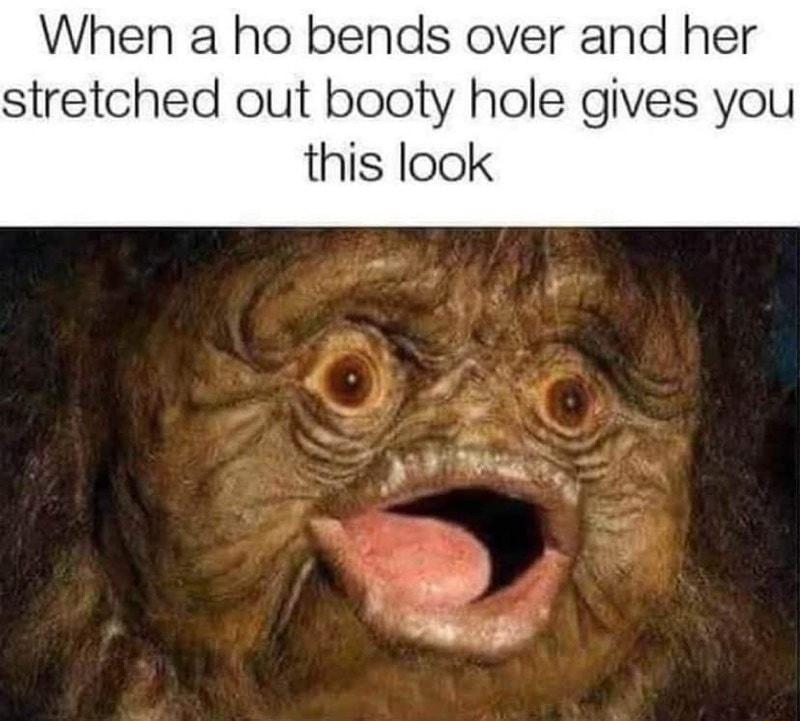 When a ho bends over and her stretched out booty hole gives you this look