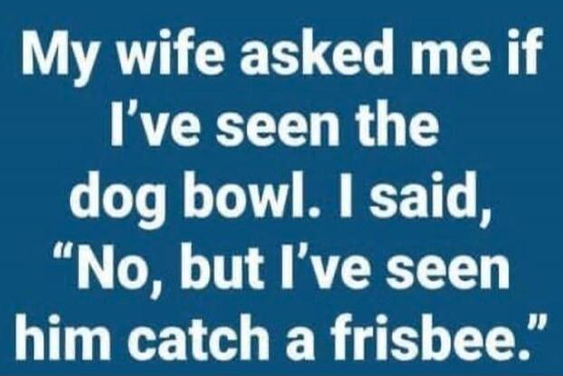 My wife asked me if I've seen the dog bowl. I said, 'No, but I’ve seen him catch a frisbee.'