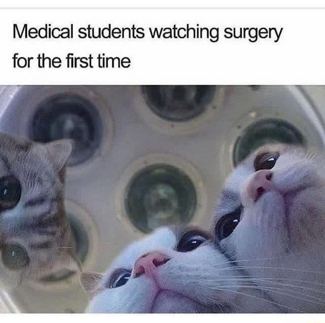Medical students watching surgery for the first time
