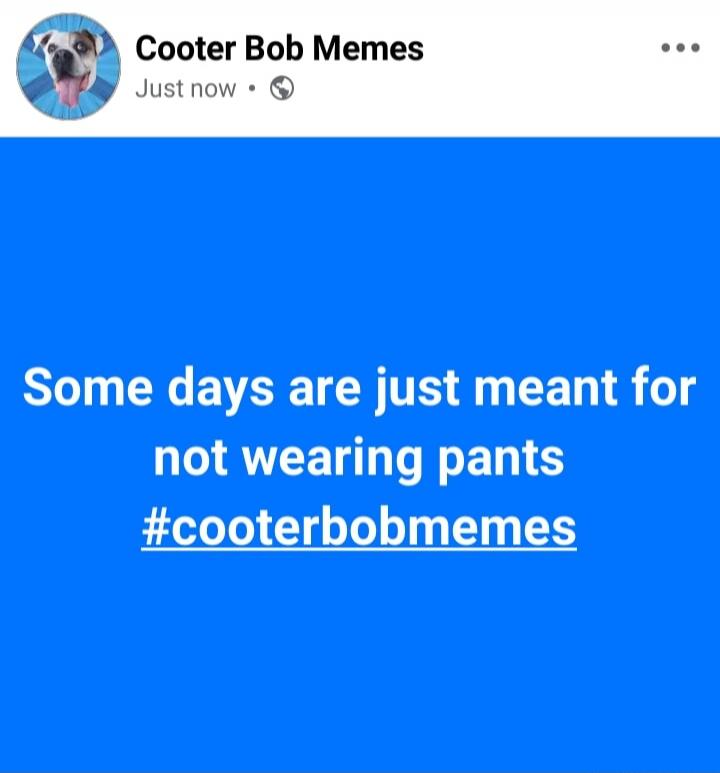 Some days are just meant for not wearing pants #cooterbobmemes