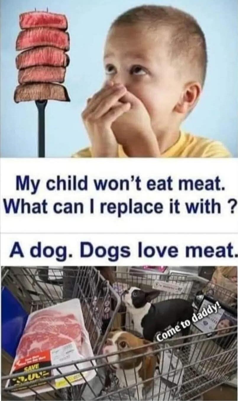 My child won’t eat meat. What can I replace it with? A dog. Dogs love meat.