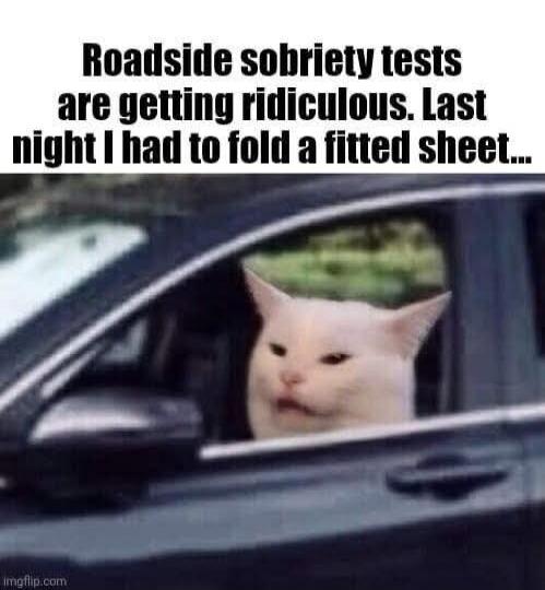 Roadside sobriety tests are getting ridiculous. Last night I had to fold a fitted sheet...