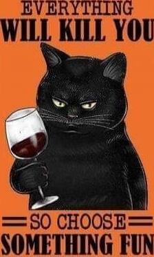 EVERYTHING WILL KILL YOU SO CHOOSE SOMETHING FUN