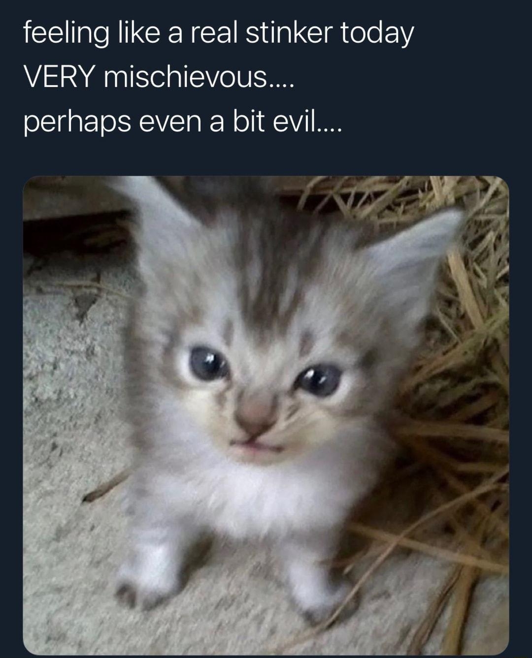 FriendFox YoungHungDad CE N CENCERN i Clatole Y VERY mischievous perhaps even a bit evil