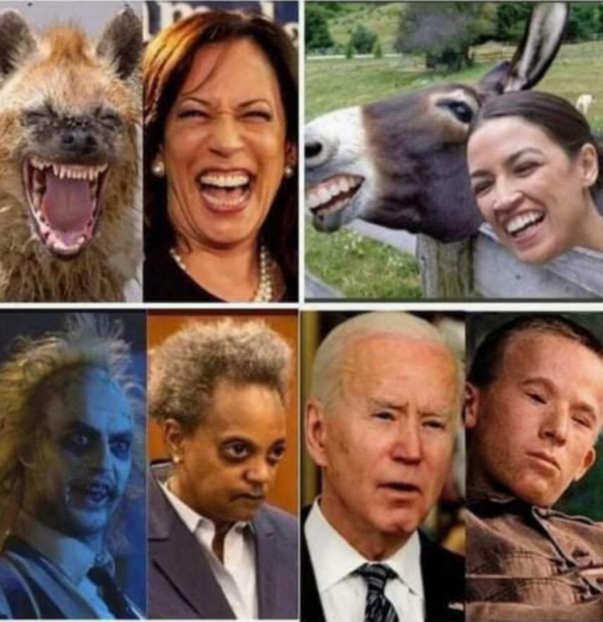 A political meme comparing politicians to animals and fictional characters based on their facial expressions. It features Kamala Harris next to a hyena, Alexandria Ocasio-Cortez next to a donkey, Lori Lightfoot next to Beetlejuice, and Joe Biden next to a boy with a confused expression.