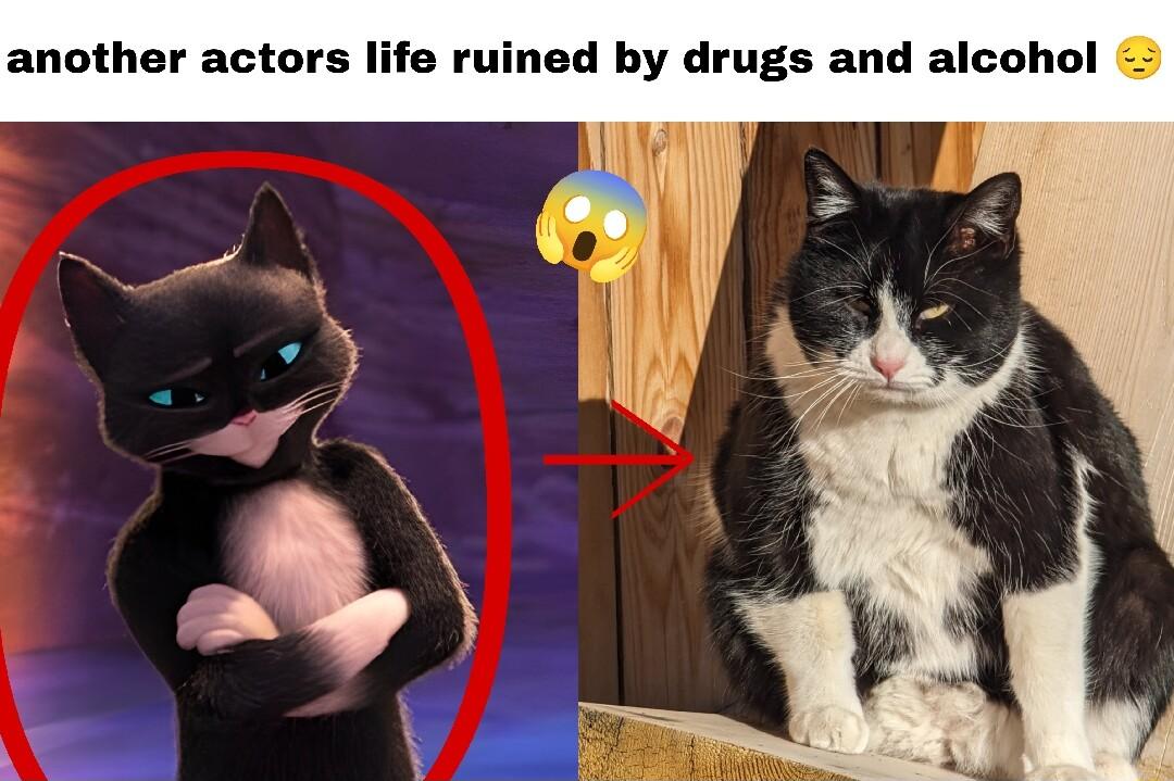 another actors life ruined by drugs and alcohol