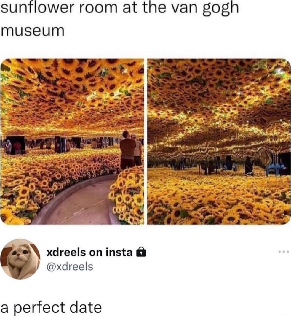 sunflower room at the van gognh museum 8 xdreels on insta xdreels a perfect date