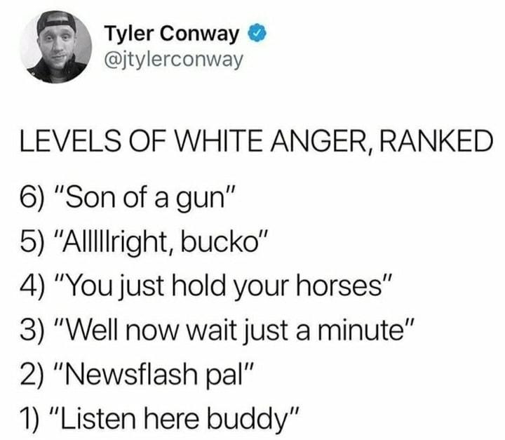 Tyler Conway jtylerconway LEVELS OF WHITE ANGER RANKED 6 Son of a gun 5 Alllllright bucko 4 You just hold your horses 3 Well now wait just a minute 2 Newsflash pal 1 Listen here buddy 7 W e