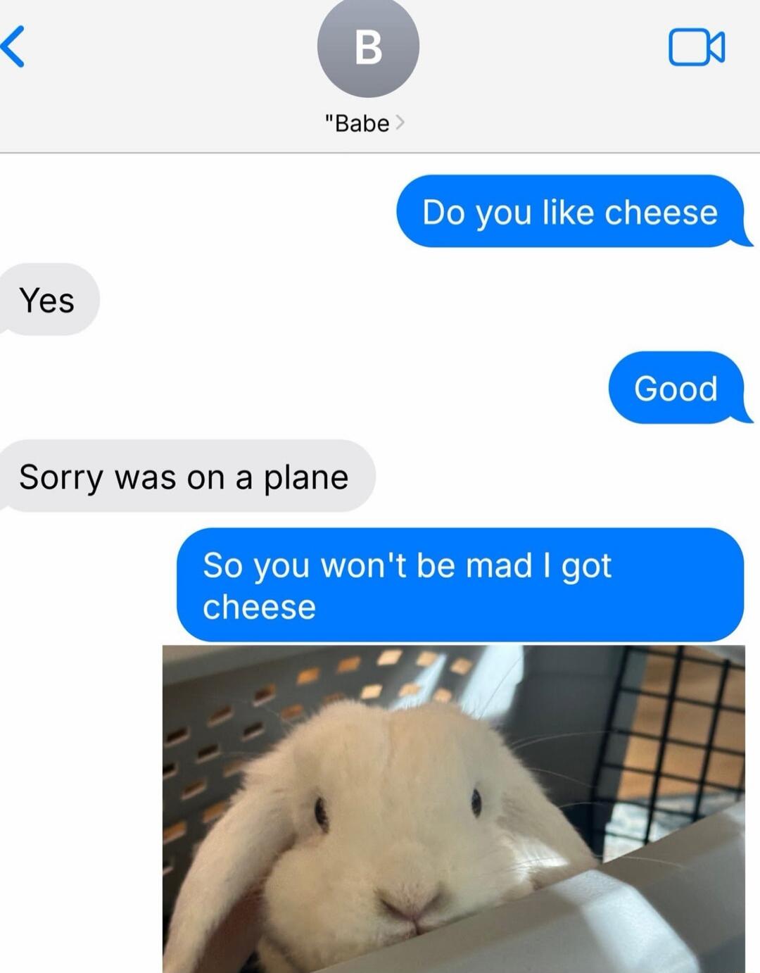 Do you like cheese
Yes
Good
Sorry was on a plane
So you won't be mad I got cheese