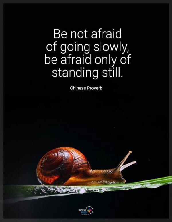 Be not afraid of going slowly, be afraid only of standing still. Chinese Proverb