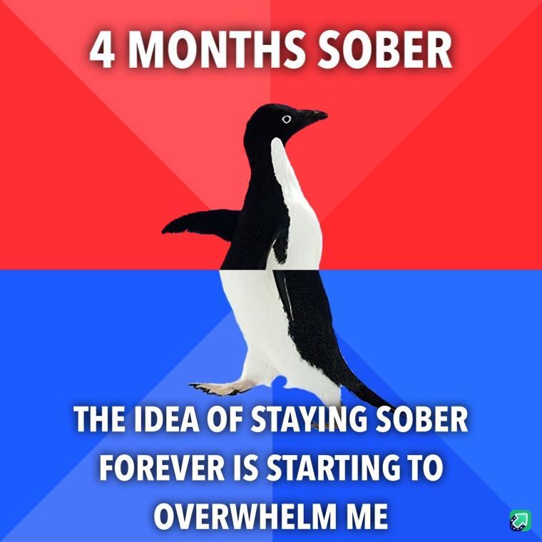 4 MONTHS SOBER THE IDEA OF STAYING SOBER FOREVER IS STARTING TO OVERWHELM ME a