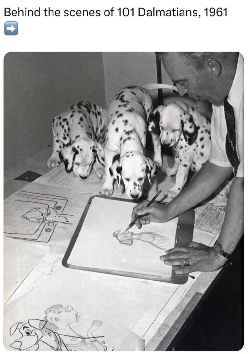 Behind the scenes of 101 Dalmatians 1961