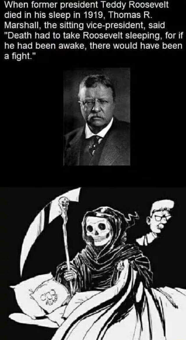 When former president Teddy Roosevelt died in his sleep in 1919 Thomas R LYETSE T GRS T RYIVR TRl Ty T e Death had to take Roosevelt sleeping for if he had been awake there would have been a fight