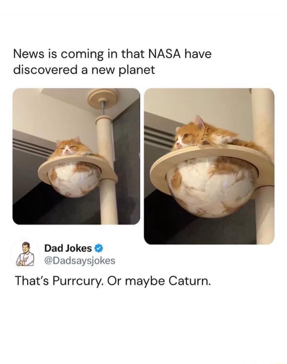 News is coming in that NASA have discovered a new planet. Dad Jokes @Dadsaysjokes. That's Purrcury. Or maybe Caturn.
