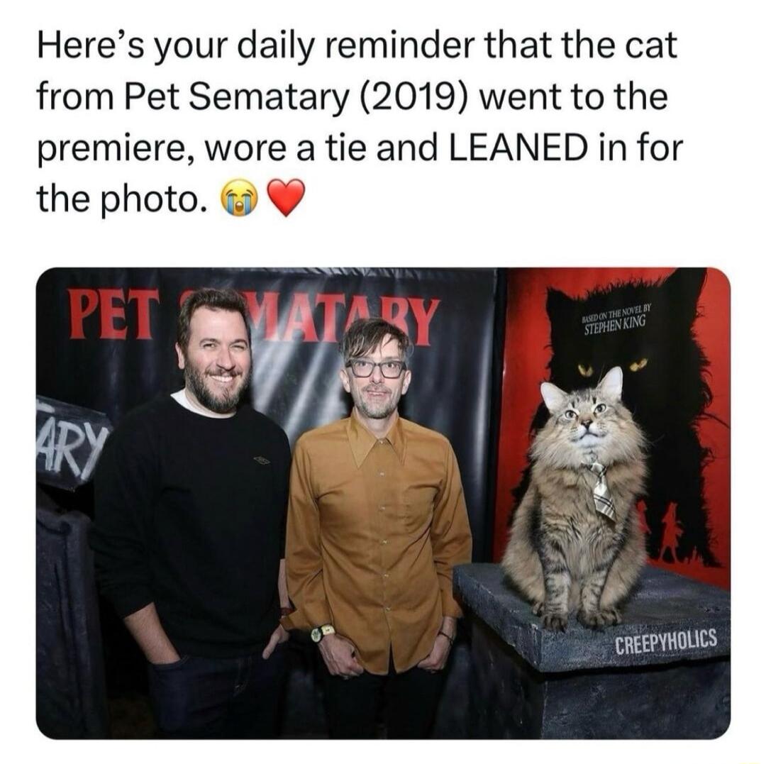 Heres your daily reminder that the cat from Pet Sematary 2019 went to the premiere wore a tie and LEANED in for the photo CREEPYHOLIS