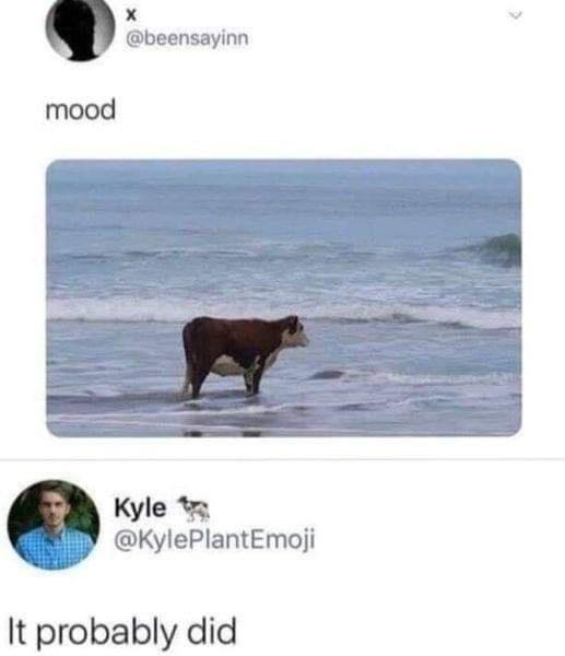 Kyle w KylePlantEmoji It probably did
