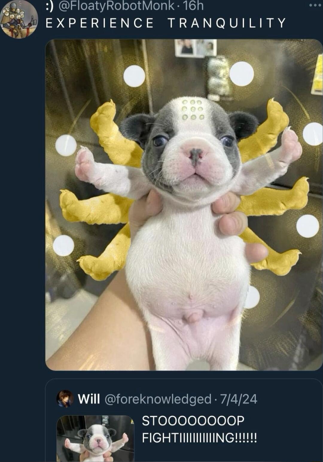 G 2 0aRobotIoRKIGN EXPERIENCE TRANQUILITY e Will oreknowledged 7424 i leleloee0eo FIGHTIIIINING 1 h
