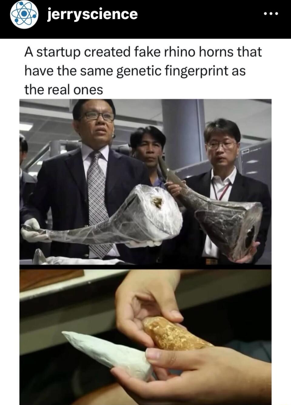 A startup created fake rhino horns that have the same genetic fingerprint as the real ones