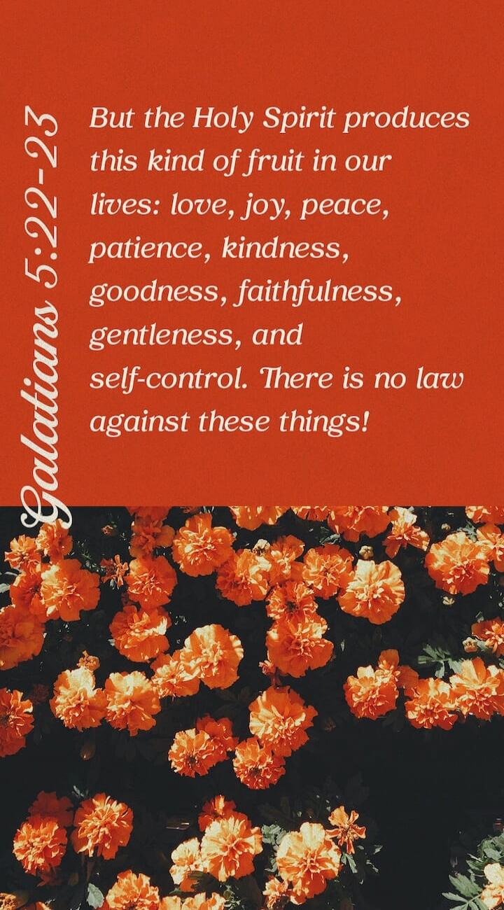 Galatians 5:22-23 But the Holy Spirit produces this kind of fruit in our lives: love, joy, peace, patience, kindness, goodness, faithfulness, gentleness, and self-control. There is no law against these things!
