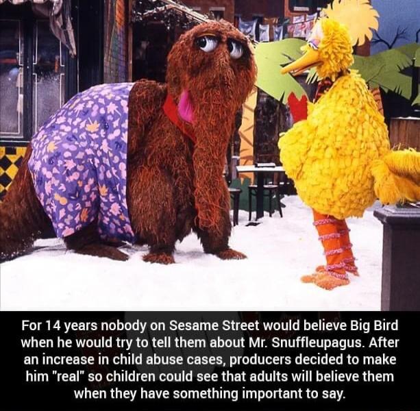 For 14 years nobody on Sesame Street would believe Big Bird when he would try to tell them about Mr Snuffleupagus After anincrease in child abuse cases producers decided to make him real so children could see that adults will believe them when they have something important to say