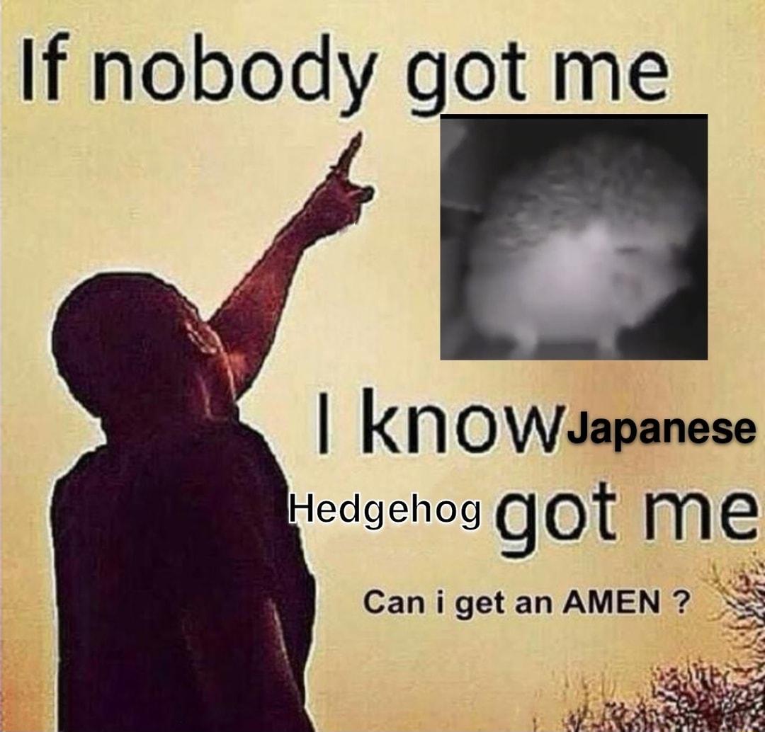 If nobody got me kn OWJapanese Hedgehog got me Can i get an AMEN m