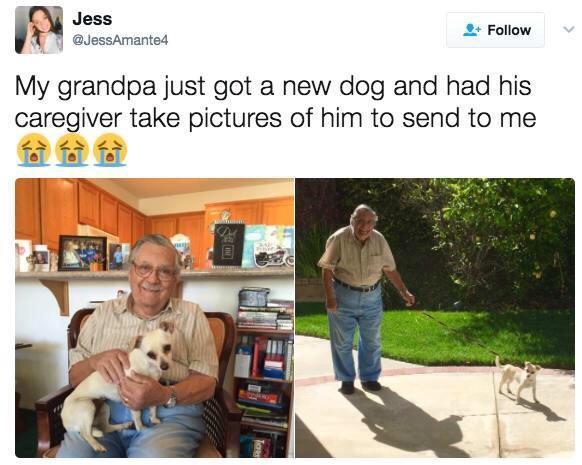 Jess QessAmanted 2 Follow My grandpa just got a new dog and had his caregiver take pictures of him to send to me