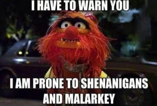 I HAVE TO WARN YOU I AM PRONE TO SHENANGIANS AND MALARKEY