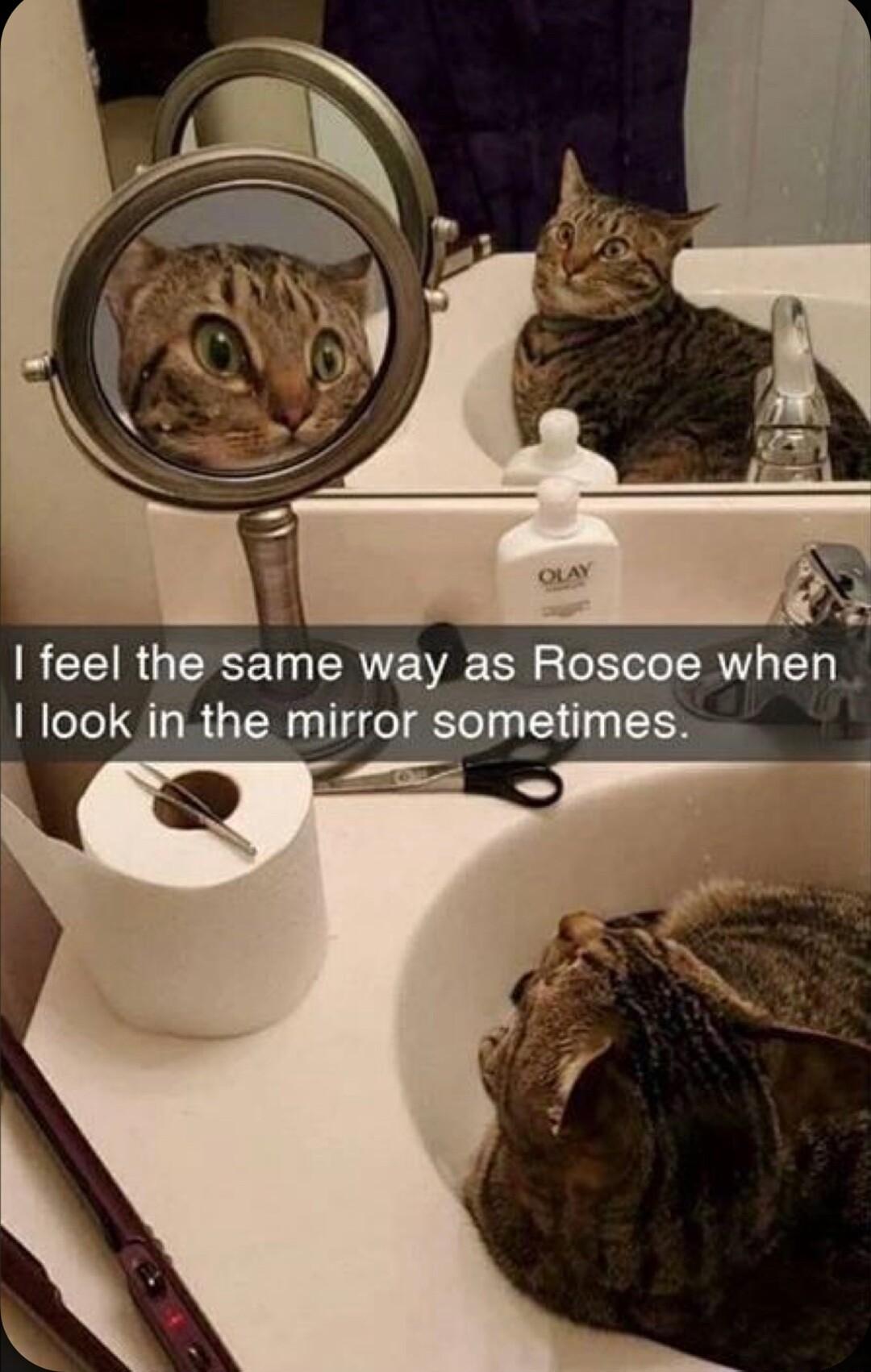 RCTEVR GERSE T PRV WA Tl 2 Tl LR Ty I look inthe mirror sometimes