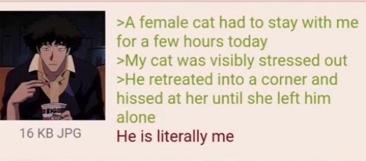 Anonymous 092122Wed112316 No7029802 A female cat had to stay with me for a few hours today My cat was visibly stressed out He retreated into a corner and hissed at her until she left him alone He is literally me