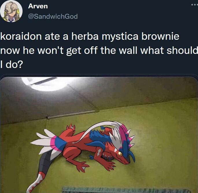m Arven SandwichGod koraidon ate a herba mystica brownie now he wont get off the wall what should leloyd
