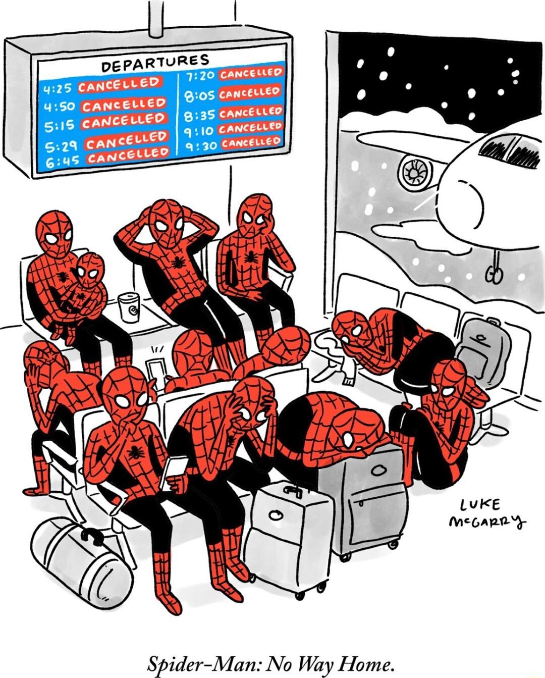 N Qe Spider Man No Way Home