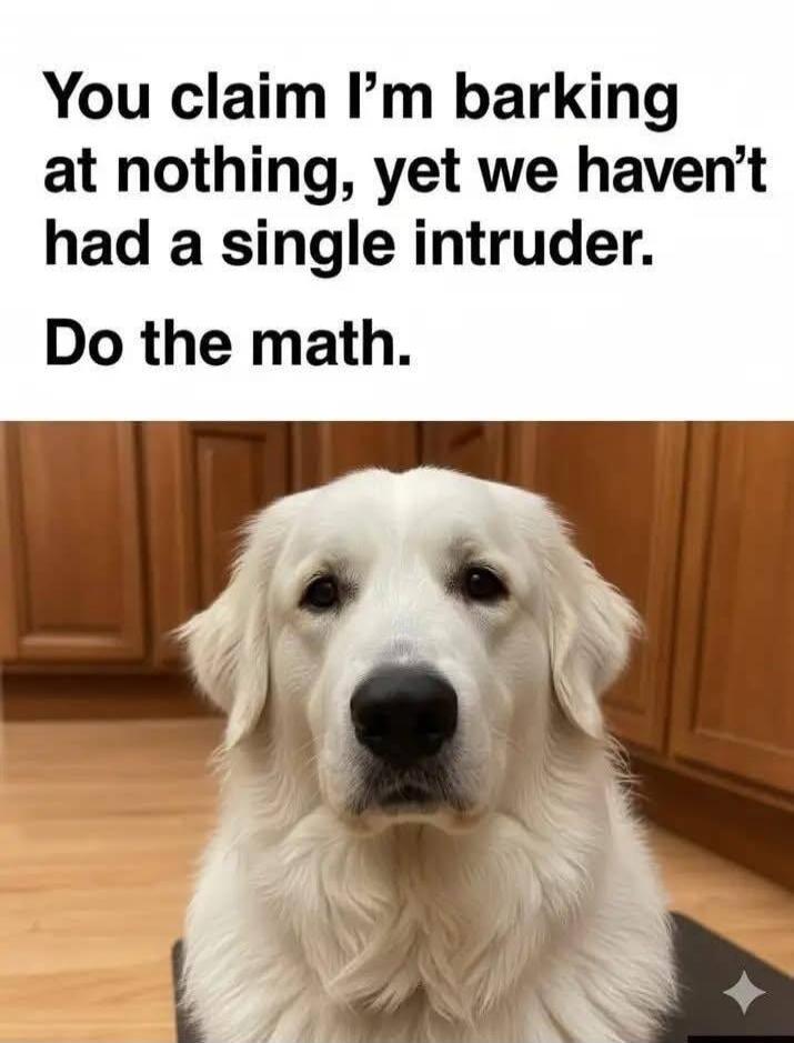 You claim I’m barking at nothing, yet we haven’t had a single intruder. Do the math.