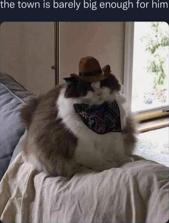 QISR IVIa IR oF1 1 ol R TaTelVf 1l el alny