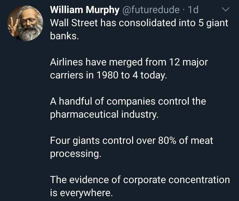 William Murphy futuredude 1d v UEUSEE EERV I EE AT CRN L SELIEH Airlines have merged from 12 major carriers in 1980 to 4 today A handful of companies control the pharmaceutical industry Four giants control over 80 of meat processing The evidence of corporate concentration is everywhere