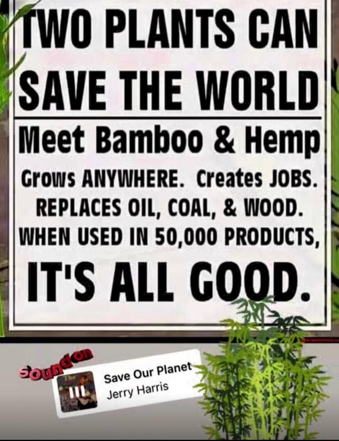 0 PLANTS CAN tSAVE THE WORLD Meet Bamhoo Hemp Grows ANYWHERE Creates JOBS REPLACES OIL COAL WOOD WHEN USED IN 50000 PRODUCTS ITS ALL