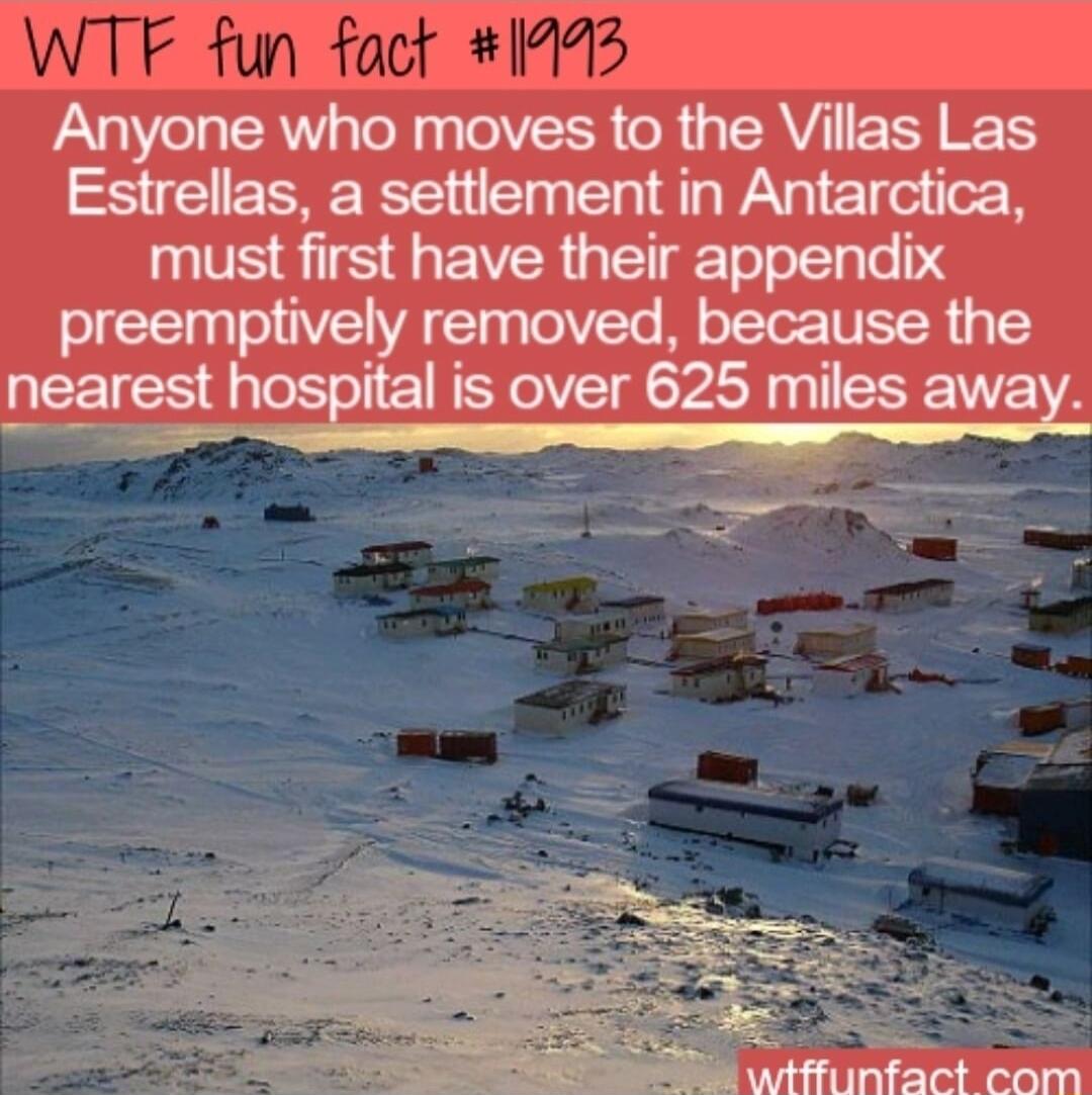 Anyone who moves to the Villas Las Estrellas a settlement in Antarctica must first have their appendix preemptively removed because the ICEICS ai is over 625 miles VA