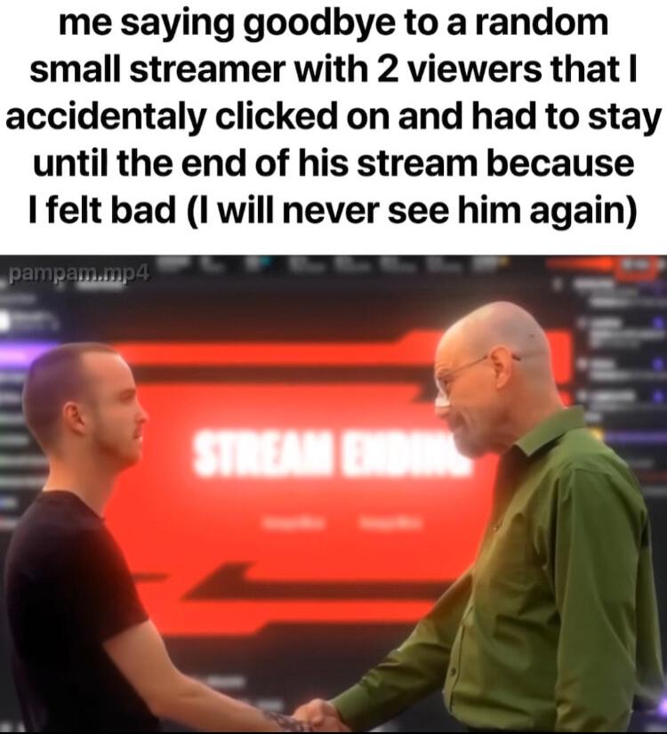 me saying goodbye to arandom small streamer with 2 viewers that accidentaly clicked on and had to stay until the end of his stream because felt bad I will never see him again